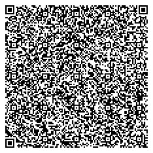 qr_vcard_andres_augusto_full_1000
